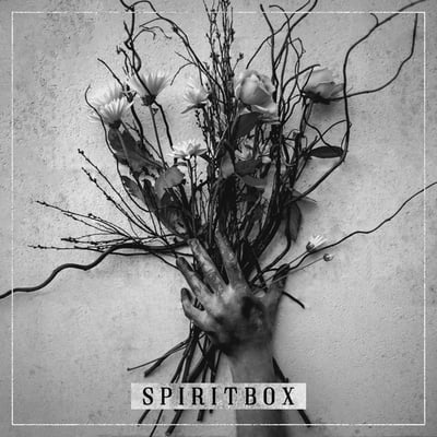Spiritbox - Spiritbox (Pale Chord, Rise Records (3), Rise Records (3), none, RISE 477-1, RISE 478-2) • LP, EP, Ltd, RP, Neo
