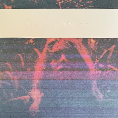 Turnover (3) - Peripheral Vision (Run For Cover Records (2), RFC122) • 3xLP, Dlx, 10t