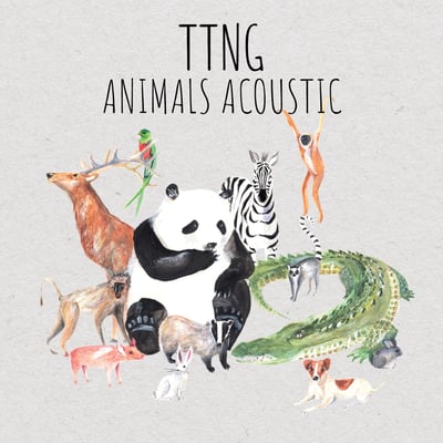This Town Needs Guns - Animals Acoustic (Sargent House, SH200) • CD, Album