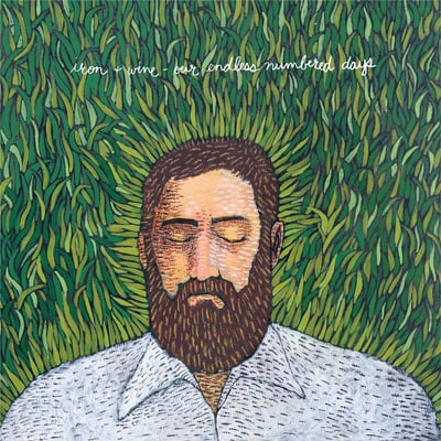 Iron And Wine - Our Endless Numbered Days (Sub Pop, SP 630) • LP, Album, RP