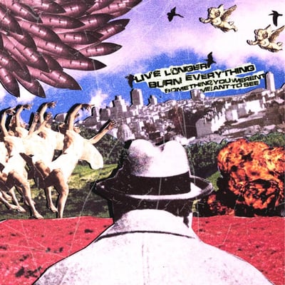 Live Longer Burn Everything - Something You Weren't Meant to See (Vamonos Records) • CD