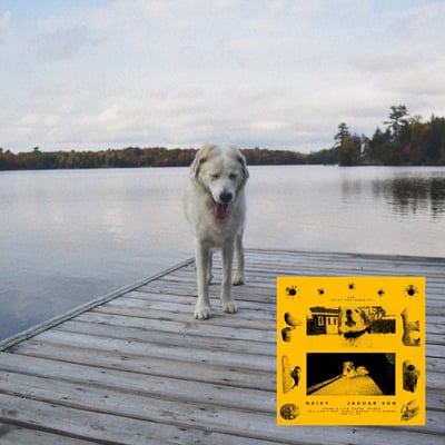 Jaguar Sun - Daisy (Born Losers Records, BLR157) • LP, Album, Bla