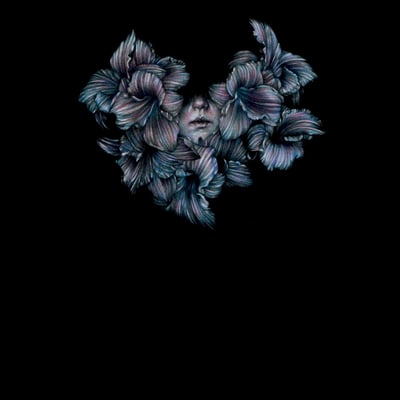 A Lot Like Birds - Divisi (Equal Vision Records, 319) • LP, Album, Ltd, Bla