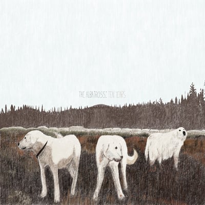 Foxing - The Albatross: Ten Years (Grand Paradise, 421-667) • LP, Album, Ltd, RE, Bro