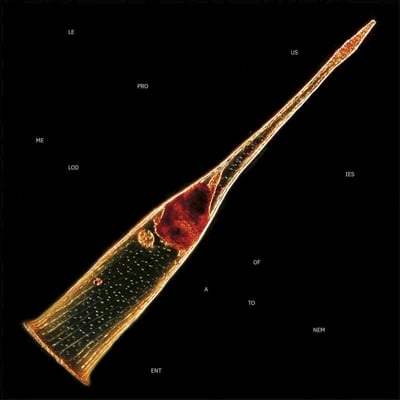Leprous - Melodies Of Atonement (Inside Out Music, Inside Out Music, IOM721, 19802814701) • 2x12", Album, Ltd, Gre
