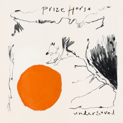 Prize Horse - Under Sound (New Morality Zine, NMZ071) • LP, Album, RP, Ora