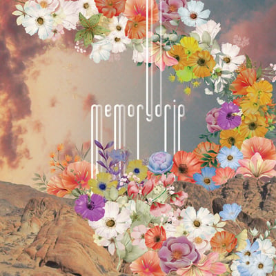 Memorydrip - Memorydrip (Not On Label (Memorydrip Self-released), none) • Cass, EP, Ltd