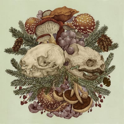 Sloth & Turtle - Sloth & Turtle (Not On Label (Sloth & Turtle Self-released), none) • LP, EP, Ltd, Tra