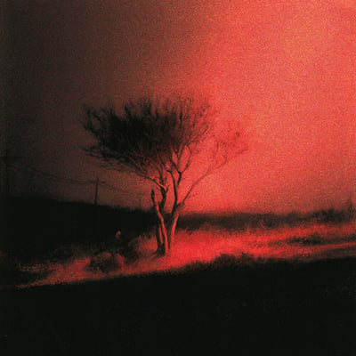 Joji - Piss In The Wind (Palace Creek, 198704742958) • LP, Album, Ltd, Cle