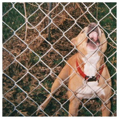 Knocked Loose - Pop Culture (Pure Noise Records, Little Heart Records, PNE187, none) • 12", S/Sided, EP, Etch, Sil