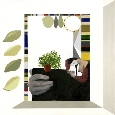 Turnover (3) - Magnolia (Run For Cover Records (2), RFC:077) • LP, Album, Ltd, RP, Whi