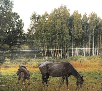 Pianos Become The Teeth - Old Pride (Topshelf Records (2), TSR 015) • LP, Opa