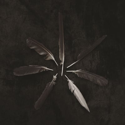 Caspian (3) - Dust And Disquiet (Triple Crown Records, 03185-1) • LP + LP, S/Sided + Album, Ltd, Bro