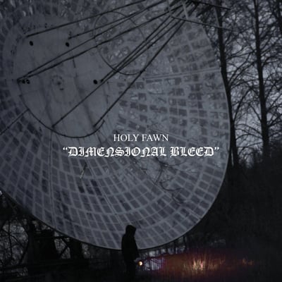 Holy Fawn - Dimensional Bleed (Wax Bodega, Wax Bodega, Wax 021, WAX-021) • 2xLP, Album, Oxb