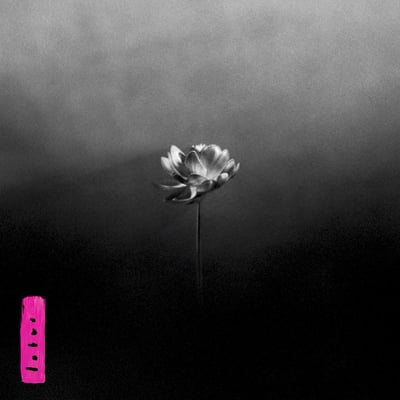 Little Simz - Lotus (AWAL Recordings Ltd, SIM001LP) · 2xLP · Gatefold