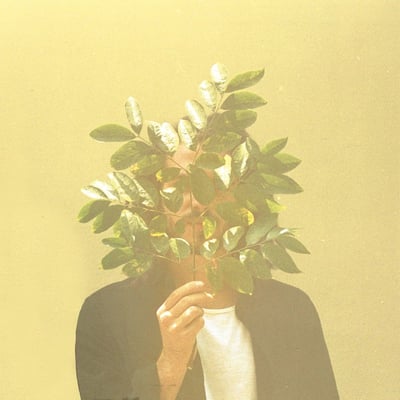 FKJ (French Kiwi Juice) - French Kiwi Juice (Roche Musique, RM039) · 2xLP · Gatefold