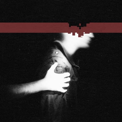 Nine Inch Nails - The Slip (The Null Corporation, HALO 27 V) · LP · 180 Gram, Gatefold · Deluxe Edition