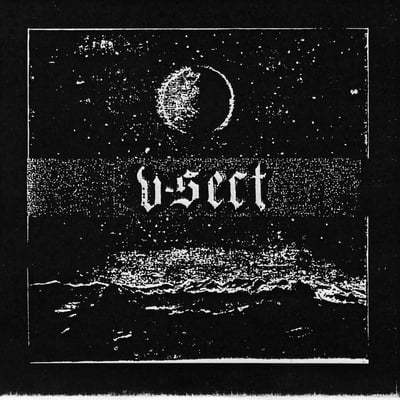 V-Sect - Nature's Casket (Atomic Action Records, AA!#70) · 10" · Marble · Remastered