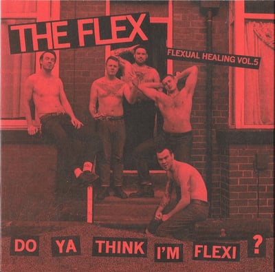 The Flex - Flexual Healing Vol. 5: Do Ya Think I'm Flexi? (Milk Run Records, MIL0005) · 7" · Limited Edition