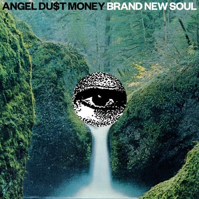 Angel Du$t - Brand New Soul (Pop Wig Records, WIG037) · LP · Clear