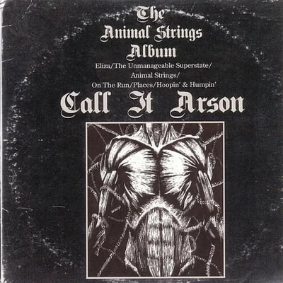 Call It Arson - Animal Strings (Redscroll Records, RSR012) · LP · Gatefold, 150 Gram