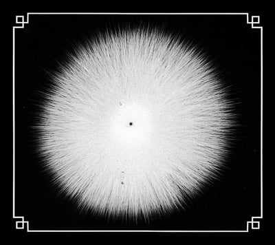 Castevet - CSTVT (Run For Cover Records, RFC-032) · 7" · Clear · Limited Edition