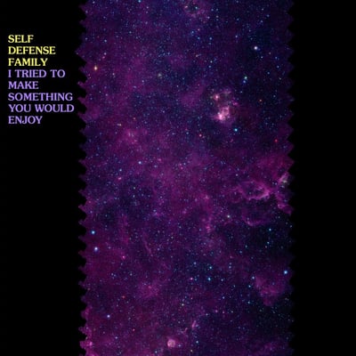 Self Defense Family - I Tried To Make Something You Would Enjoy (Triple-B Records, TBR044) · 7" · Blue Translucent