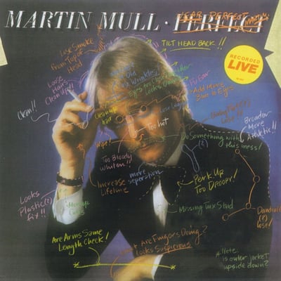 Martin Mull - Near Perfect / Perfect (Elektra, 6E-200) · LP · PRC Compton Pressing · Promo