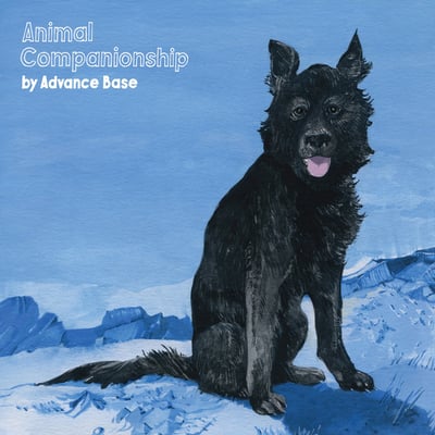 Advance Base - Animal Companionship (Run For Cover Records, RFC181) · LP · Clear · Limited Edition, Repress