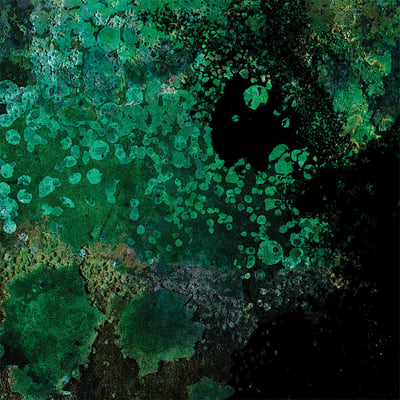 Sutekh Hexen - Breed In Me The Darkness: The Second Coming Mixes By Andrew Liles (Pesanta, Pesanta UrFolk 025) · 2xLP · Royal Haze · Limited Edition, Reissue