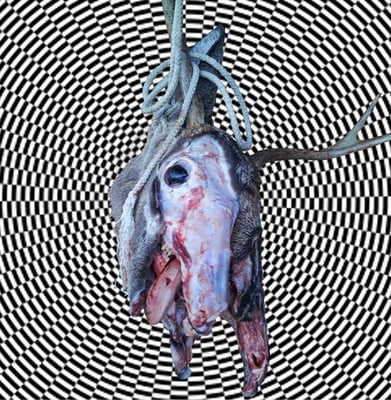 Feral King / Lonely Ghost Parade - Feral King / Lonely Ghost Parade (Last Anthem Records, LAR-020) · 7" · Half Red / Half Blue · Media M