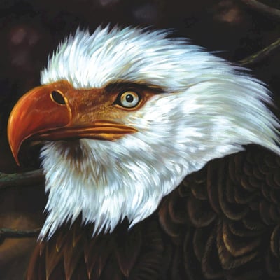 Mogwai - The Hawk Is Howling (Matador, OLE 832-1) · 2xLP