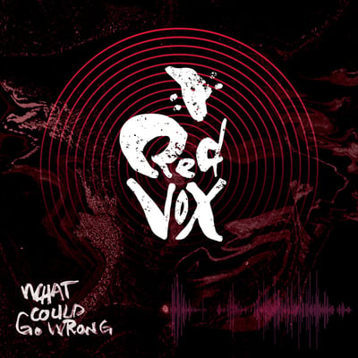 Red Vox - What Could Go Wrong (Not On Label (Red Vox self-released), RV-003) · LP · Translucent Red · NM/NM · Limited Edition