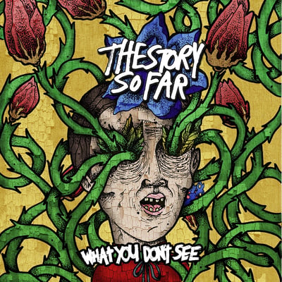 The Story So Far - What You Don't See (Pure Noise Records, PNE 127) · LP · Purple Translucent · Limited Edition, Reissue, Repress