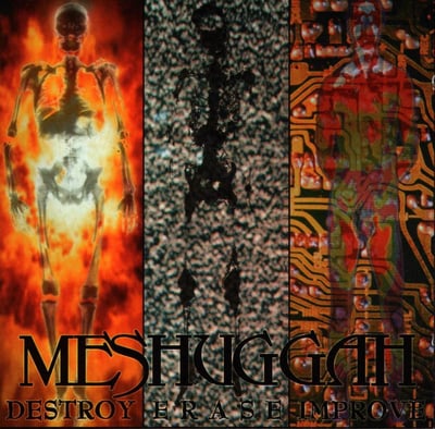 Meshuggah - Destroy Erase Improve (Reigning Phoenix Music, 1.0108) · 2xLP · Sunflare / Sunflare · Etched, Record Store Day, Limited Edition, Reissue, Remastered