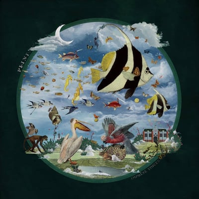 Plini - Impulse Voices (Sheet Happens Publishing, PRH015) · LP · Forest + Bone · Limited Edition