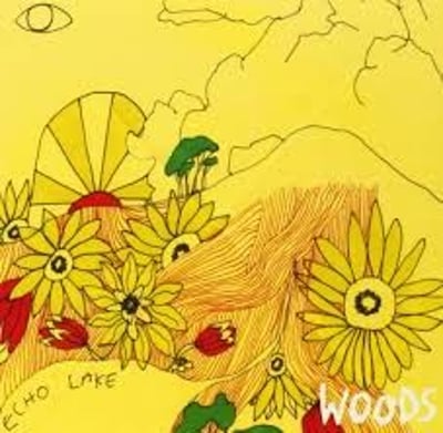 Woods - At Echo Lake (Woodsist, WOODSIST040) · LP