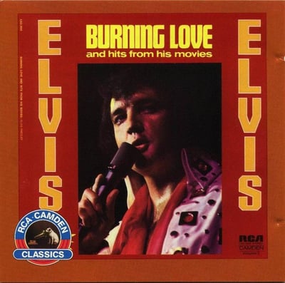 Elvis Presley - Burning Love And Hits From His Movies Vol. 2 = バーニング・ラブ (RCA Camden, RGP-1041) · LP · VG+/VG