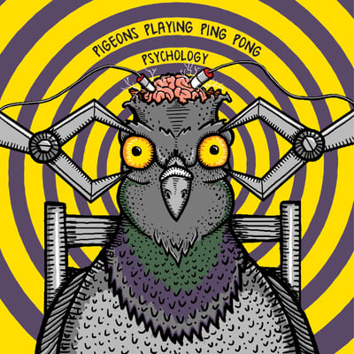 Pigeons Playing Ping Pong - Psychology