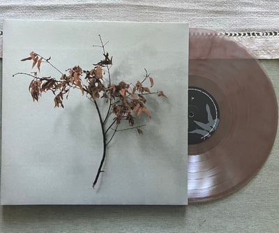 Copeland - In Motion (Smartpunk Records, SPREC1163) · LP · Brown Transparent Swirl [Truffle], 20th Anniversary Edition · NM/VG+ · Reissue, Remastered