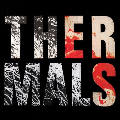 The Thermals - Desperate Ground (Saddle Creek, LBJ-186) · LP