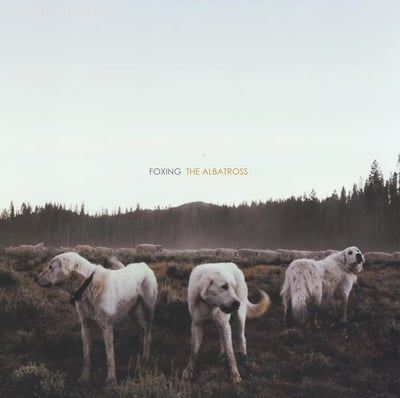 Foxing - The Albatross (Triple Crown Records, TCR 03177) · LP · White In Cloudy Clear · Limited Edition, Reissue, Repress
