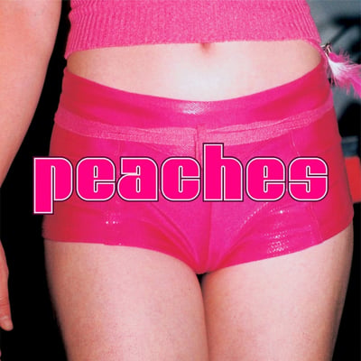 Peaches - The Teaches Of Peaches (XL Recordings, XLLP 163) · LP · Reissue