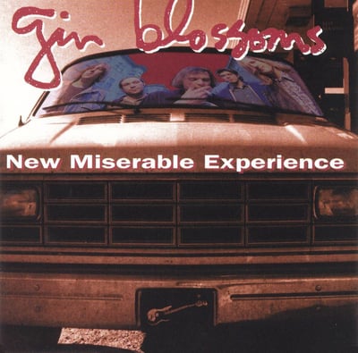 Gin Blossoms - New Miserable Experience (A&M Records, B-0026126-01) · LP · Reissue