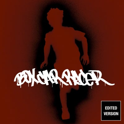 Box Car Racer - Box Car Racer (Geffen Records, B0026357-01) · LP · 15th Anniversary Edition · Limited Edition