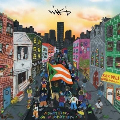 Wiki - No Mountains In Manhattan (XL Recordings, XL878LP) · 2xLP · Dank Green Vinyl · Limited Edition