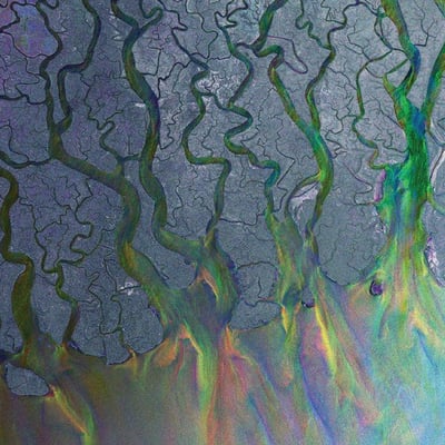 Alt-J - An Awesome Wave (Atlantic, 532346-1) · LP · Gatefold