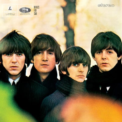 The Beatles - The Beatles In Mono (Apple Records, 5099963379716) · 14xLP · 180g / 180g / 180g / 180g / 180g / 180g / 180g / 180g / 180g / 180g / 180g · Reissue, Limited Edition, Remastered