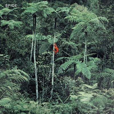 Spice - Spice (Dais Records, DAIS153) · LP · Gold Nugget · Limited Edition, Repress