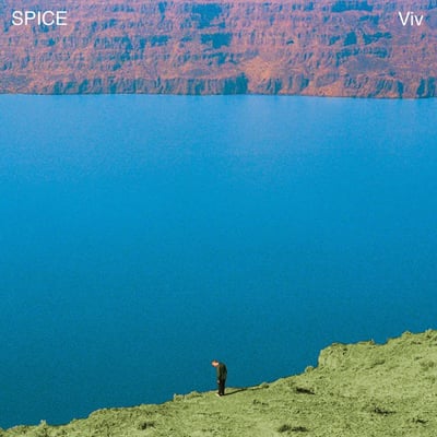 Spice - Viv (Dais Records, DAIS196) · LP · Opaque Pink · Limited Edition
